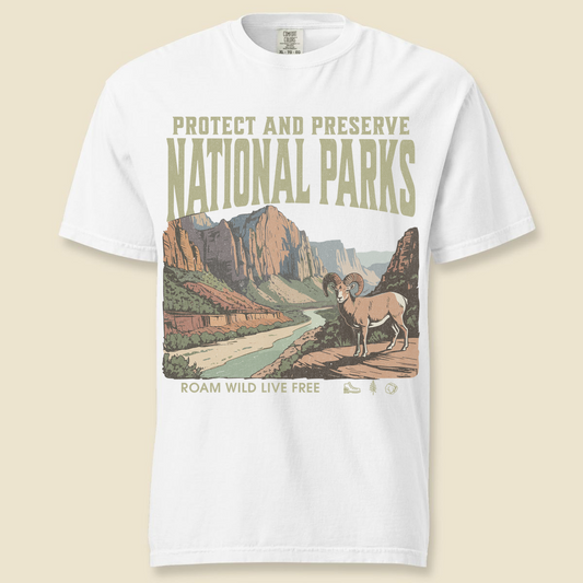 Zion T-Shirt - White