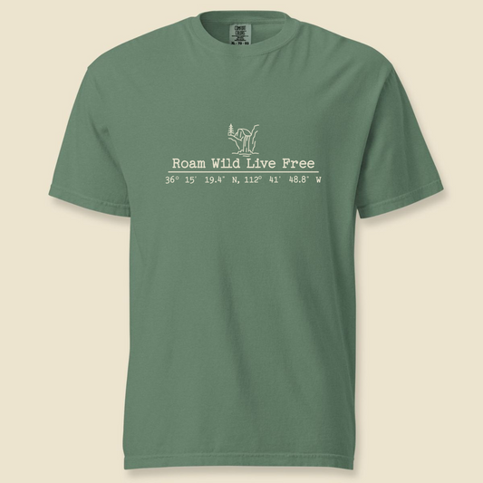 Havasu Falls Coordinates Premium Unisex Tee
